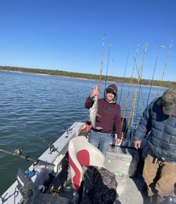 Blue catfish caught while fishing on boat in Pottsboro TX with multiple fishing rods