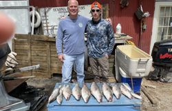 Fresh caught fish displayed on blue table at Texoma Waters fishing dock in Pottsboro TX