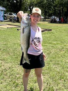 Large striped bass caught during fishing trip in Pottsboro TX