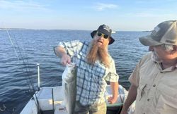 Striped bass catch on fishing boat in Pottsboro TX waters