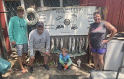 Fresh striped bass catch displayed at Trauma Outfitters fishing guide service in Pottsboro Texas