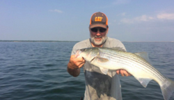 Striped bass caught in Pottsboro