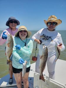 Family Fishing For Redfish in Matagorda Bay