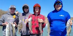 6 sheepshead fish caught in tx