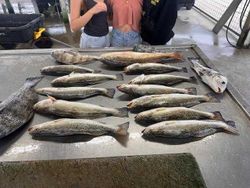 Matagorda: Cast, catch, repeat!