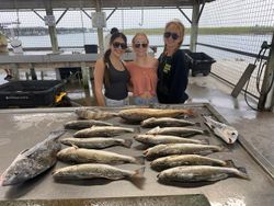 5 big fish caught in TX