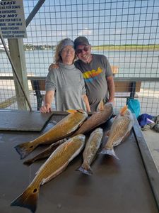 Four big fish caught in Matagorda while fishing