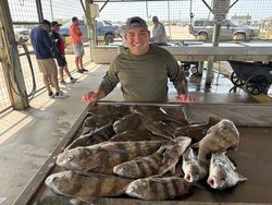 Four black drum fish caught in TX