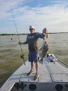 Photo of a 23-inch black drum fish caught in TX