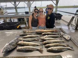 Fishing for a school of 5 black drum in TX