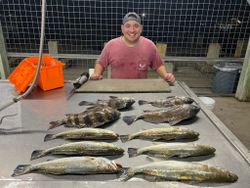 Sheepshead and King Mackerel caught in TX