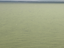 Perfect conditions for jigging and light tackle fishing. Afternoon clearing makes for exciting opportunities on the water.