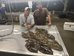 Fresh flatfish ready for cleaning after an exciting day on the water.