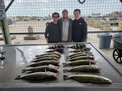 4 fish caught in TX