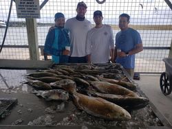 Four people fishing in Matagorda