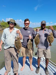 4 summer and southern flounder fish caught in tx