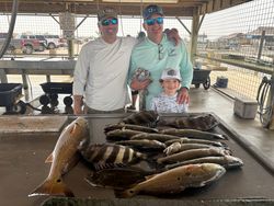 3 sheepshead fish caught in Matagorda