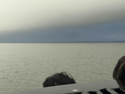 Great fishing conditions with clearing skies ahead in Matagorda. Multiple techniques ready to go!