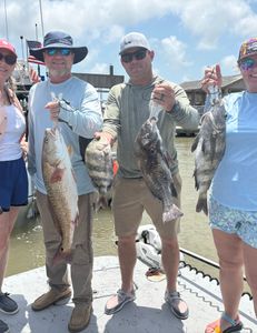 4 big black drum, redfish, and sheepshead fish caught during fishing trip in Matagorda