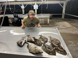 Fresh caught Pacific Halibut, Summer Flounder, and Southern Flounder displayed on cleaning station in Matagorda TX