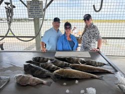 Fresh caught redfish, black drum, and sheepshead displayed on fish cleaning table at Matagorda TX harbor
