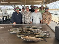 Fresh caught redfish, black drum, and speckled trout displayed on cleaning station in Matagorda TX