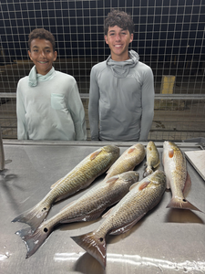 Matagorda redfish success with six beautiful catches!