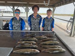 Fresh caught speckled trout and black drum displayed on cleaning station in Matagorda TX