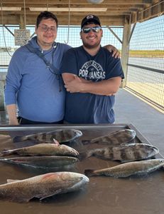 6 spotted weakfish and black drum fish caught in Matagorda