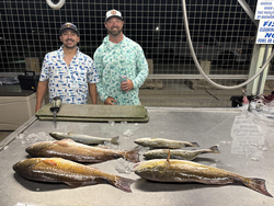 Big Spotted Weakfish blasted today in stormy Matagorda!