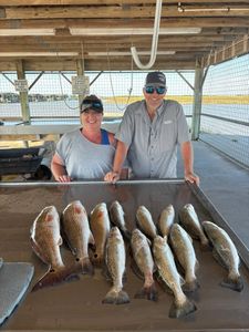 Speckled trout and redfish catch displayed on cleaning table at Matagorda TX fishing dock