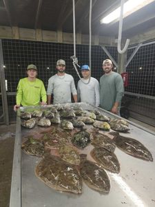 Four people enjoying an outdoor adventure in Matagorda