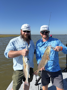 Nice redfish using jigging and light tackle today!