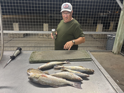 Blasted today with these four redfish! Perfect conditions for jigging and light tackle fishing.