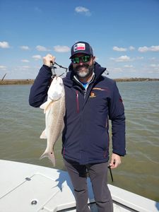 Redfish caught in Matagorda during fishing