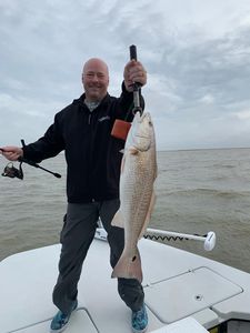Redfish caught in Matagorda, Texas