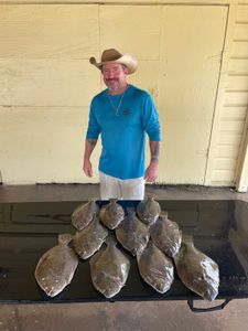 4 Southern Flounder fish caught in Matagorda