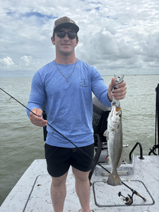 Jigging success: 18-inch Spotted Weakfish reeled in!
