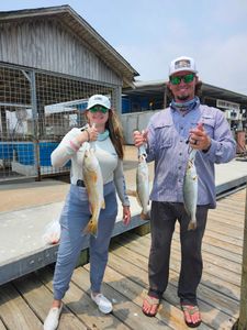 Spotted Weakfish, 18 inch fish caught in TX
