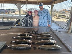 Spotted Weakfish caught in TX
