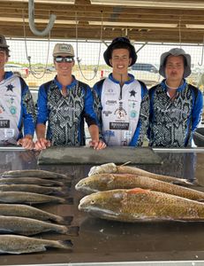 4 anglers holding their bountiful catch in Texas