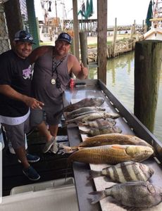 Two anglers holding large sheepshead fish caught in TX