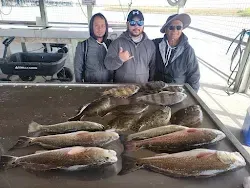 3 big fish caught in TX