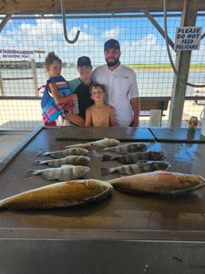 Three black drum fish caught in TX