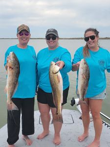 Three redfish caught in a fishing trip in TX
