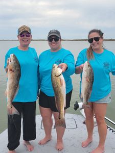 3 redfish caught during fishing trip in TX