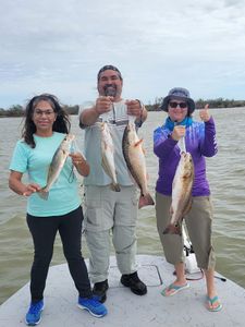 3 redfish caught in TX