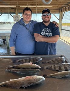 3 spotted weakfish, fishing in TX