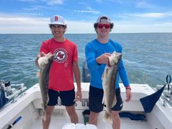 Chunky Walleye duo!