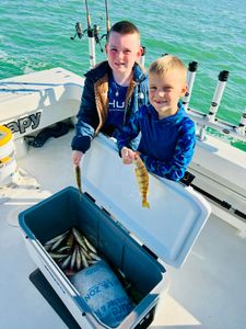 Awesome perch day!